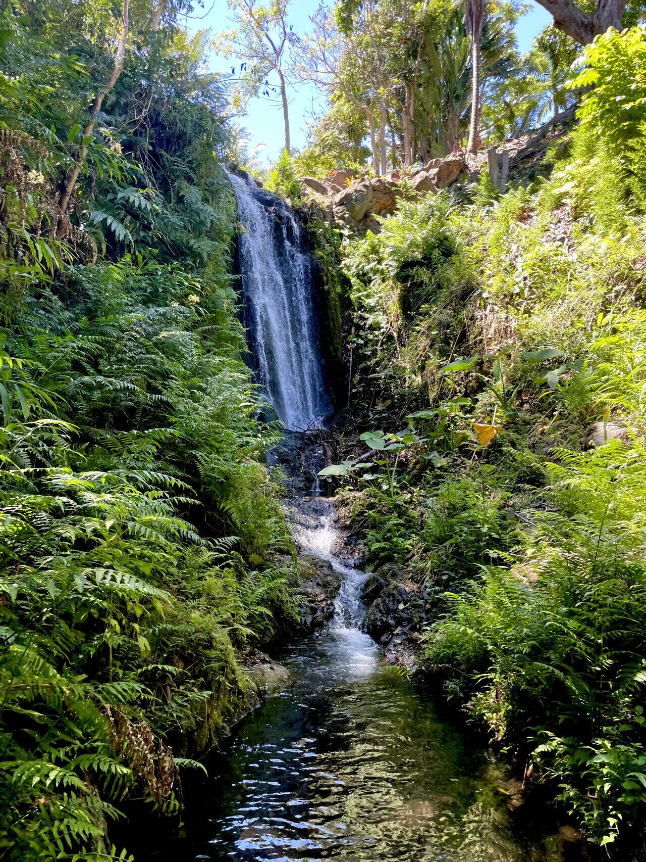 Base of Waterfall at end of switchback trail