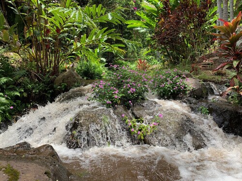 Family House by the Waterfall - Private, Countryside, Waipio, Stream, WiFi, Laundry