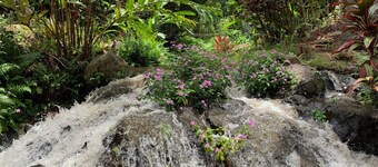 Family House by the Waterfall - Private, Countryside, Waipio, Stream, WiFi, Laundry