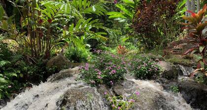 Family House by the Waterfall - Private, Countryside, Waipio, Stream, WiFi, Laundry