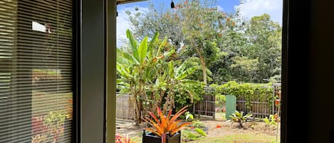 Backdoor - view to backyard