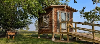 Beehive air therapy cabin with 2 bee beds for a unique, multi-sensory experience