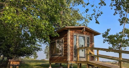 Beehive air therapy cabin with 2 bee beds for a unique, multi-sensory experience