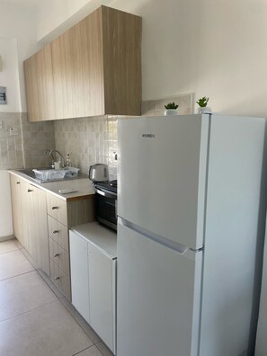 Fridge, stovetop, cookware/dishes/utensils