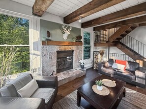 Älytelevisio, takka, stereot