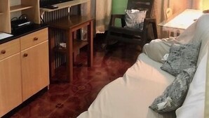 Un espace de vie compact comprenant un canapé, un téléviseur, un meuble en bois et une chaise.