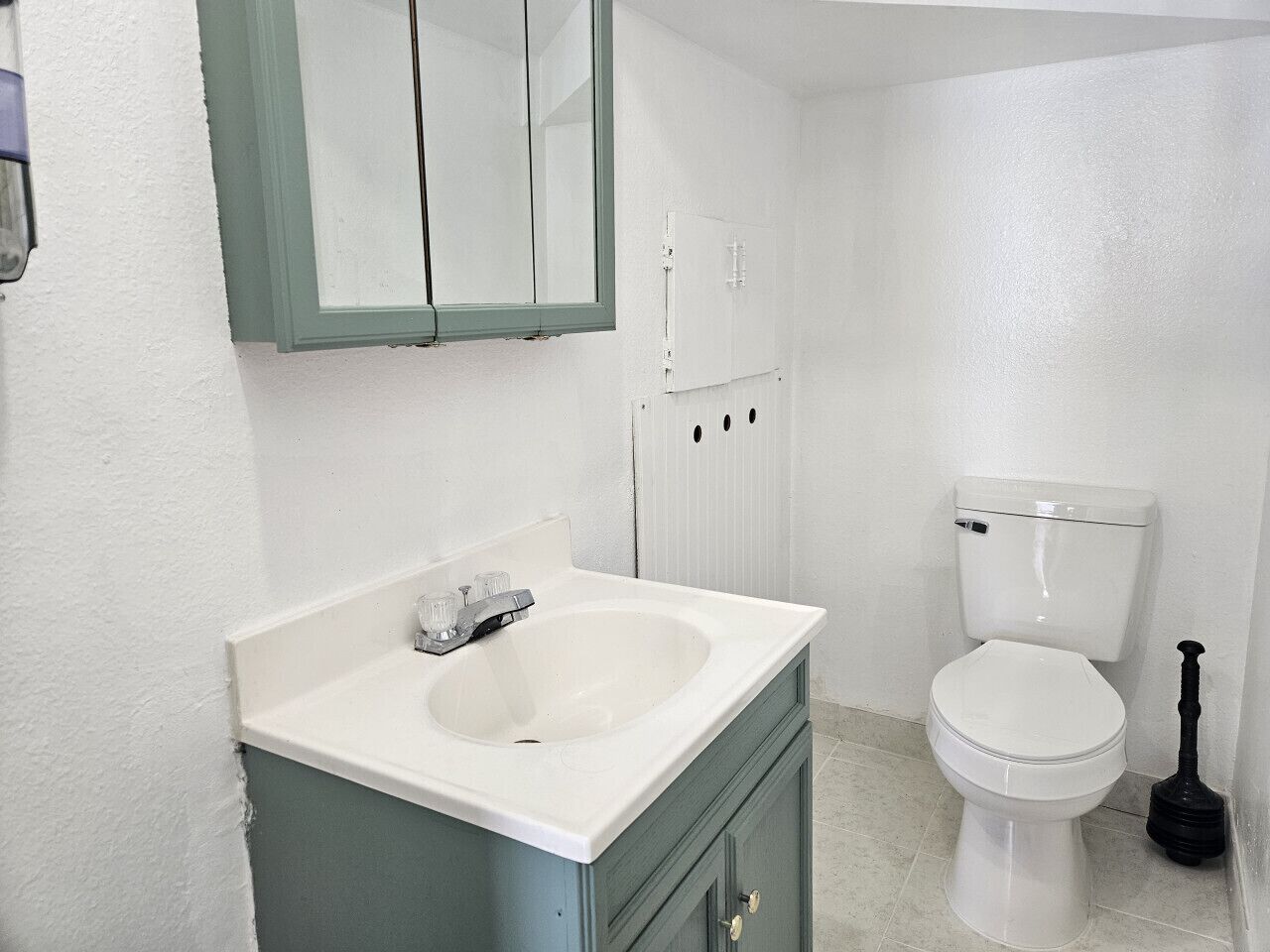 A bathroom with a white sink, a mirror, a toilet, and a plunger.