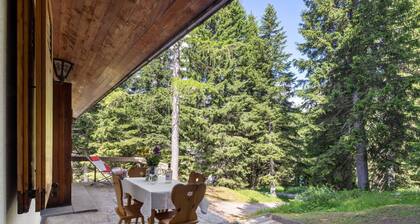 Apartment Larice by Interhome