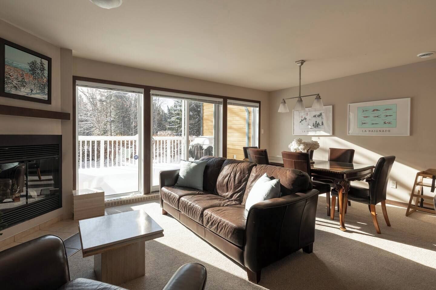 智能电视、壁炉、DVD 播放器