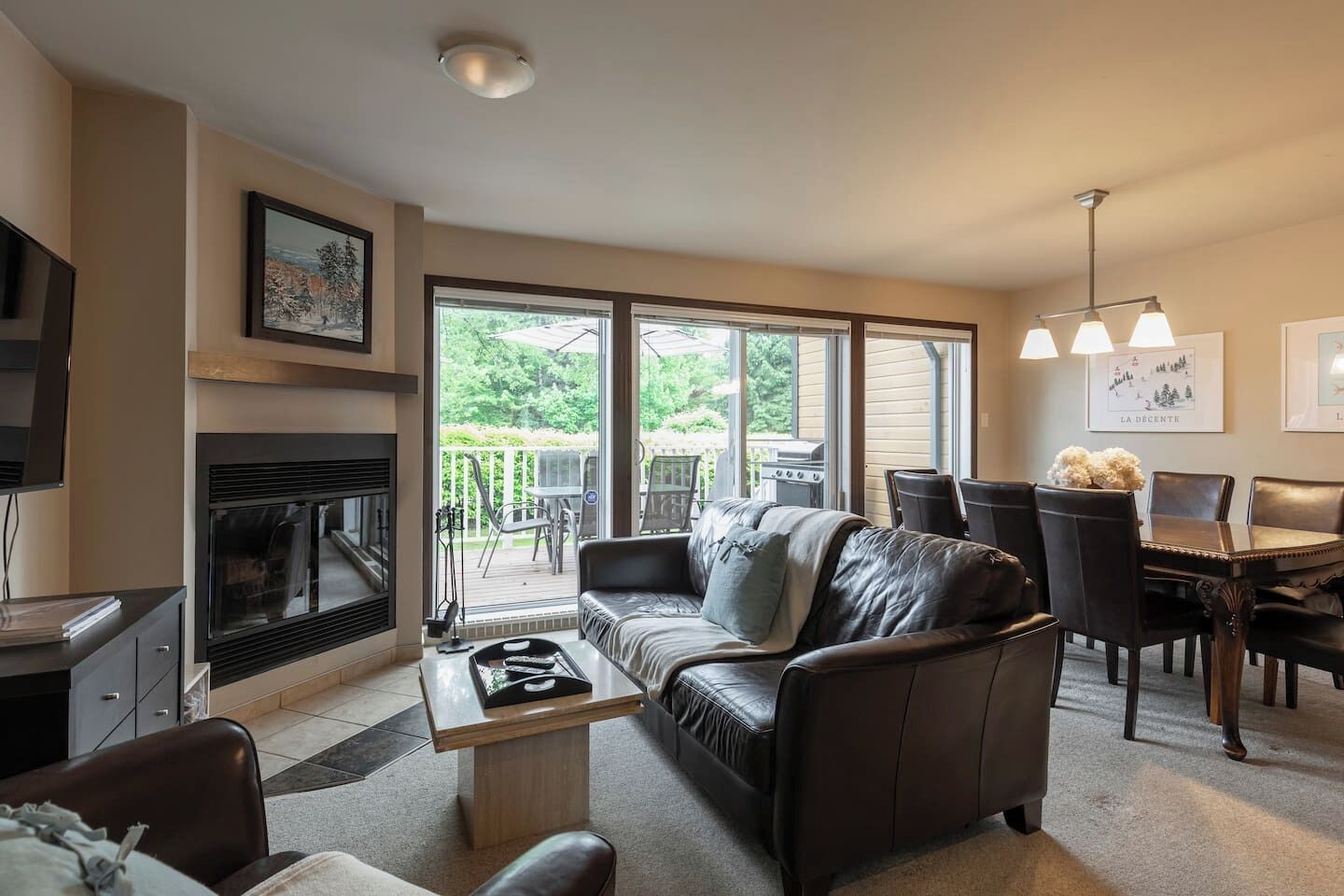 Smart TV, chimenea y reproductor de DVD 