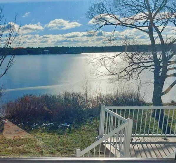 Property grounds - Family Cottage in the Moonlight (Saint-Cyrille-de-Lessard)