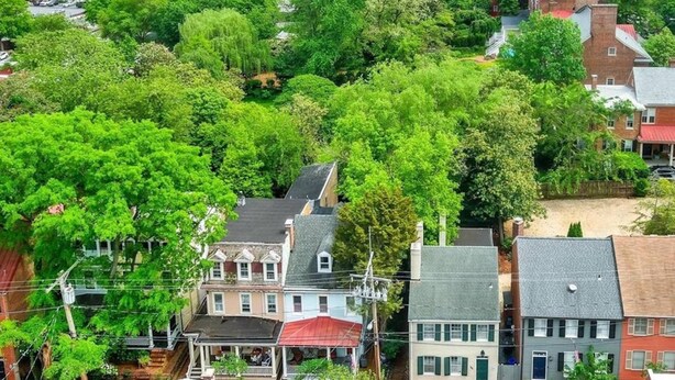 Un barrio residencial con casas rodeadas de abundante vegetación.