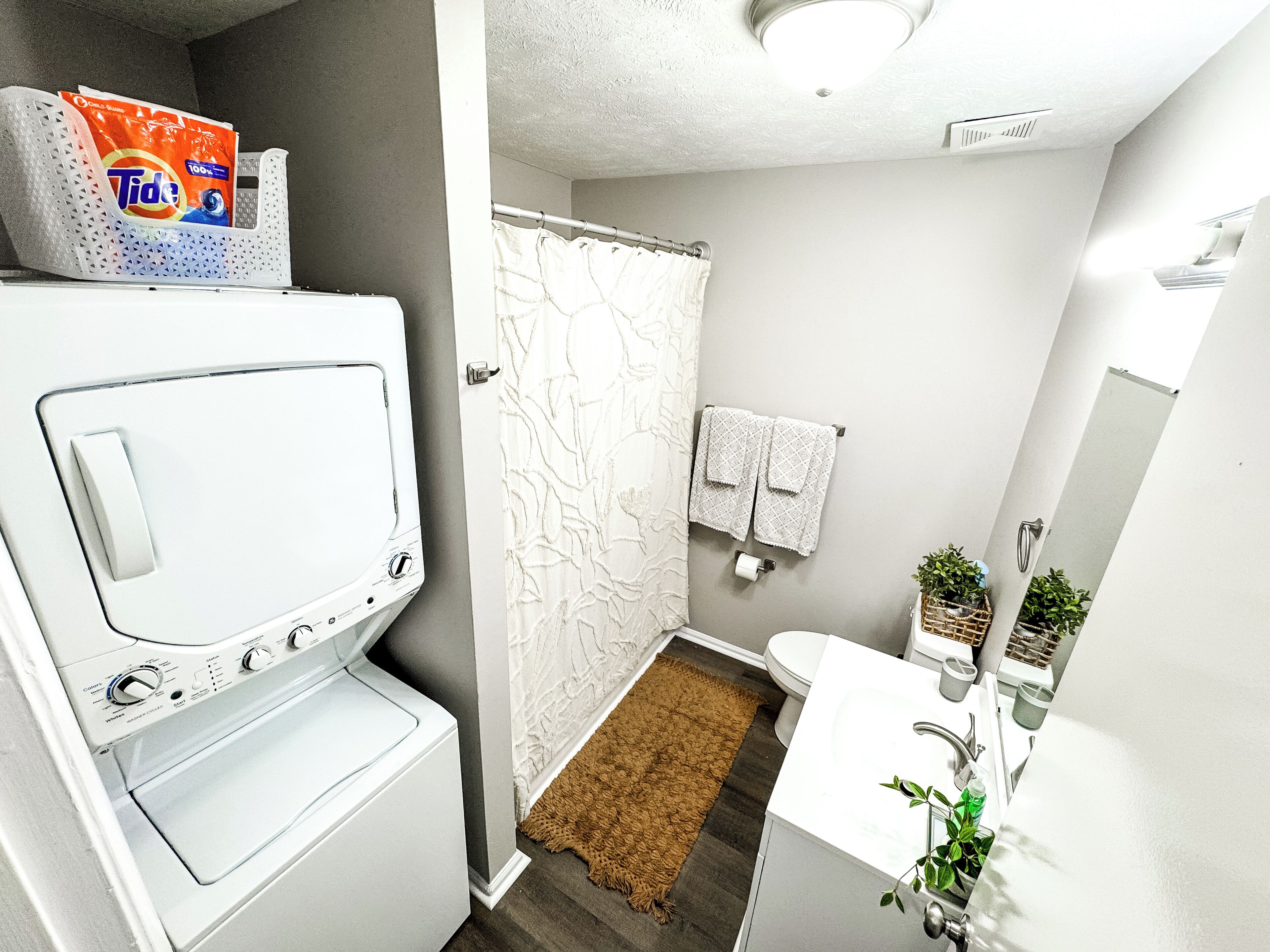 Hair dryer, towels, toilet paper
