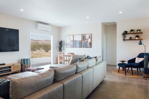 Smart TV, fireplace, books