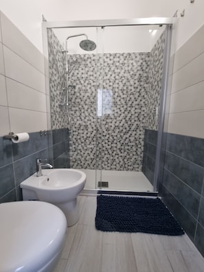 Regadera, secadora de cabello, bidet, toallas