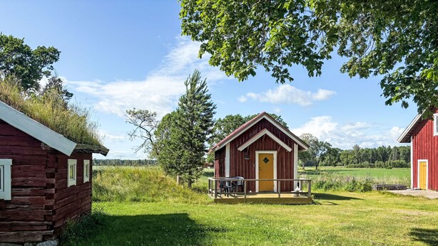 A rustic cabin with a porch, surrounded by a grassy field and trees.
