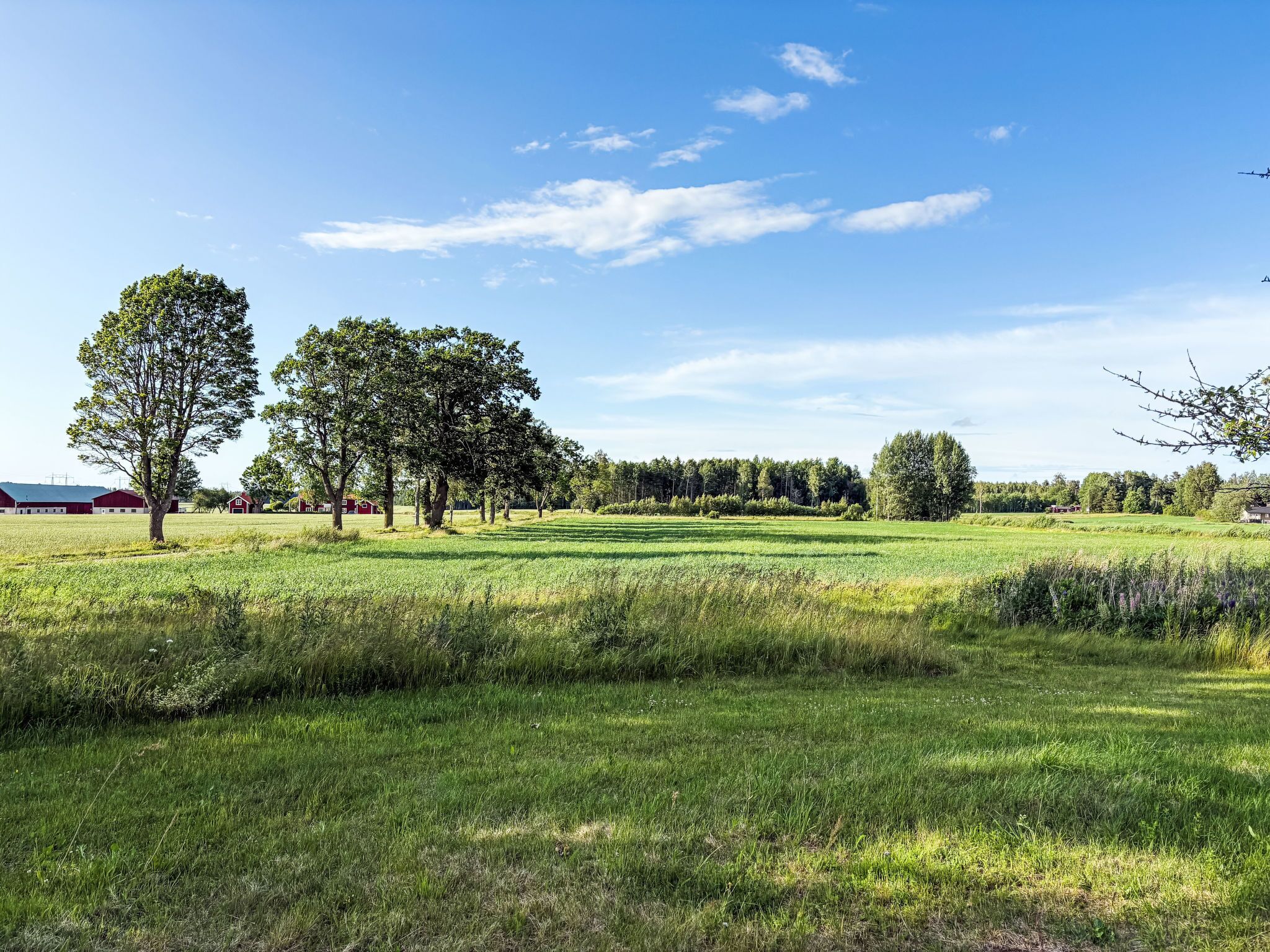 Un paysage rural caractérisé par de vastes champs, des arbres et des granges rouges.