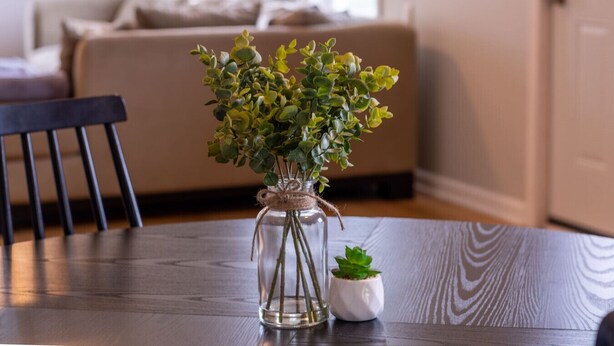 A clear glass vase with a plant on a wooden table in a room with a sofa and a door in the background.