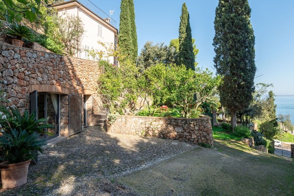 Strauch, Garten, Steinwand, Landscaping, Immergrün