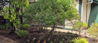 Take a  beach shack break in simple  setting,  a step to Port Wilunga Esplanade.