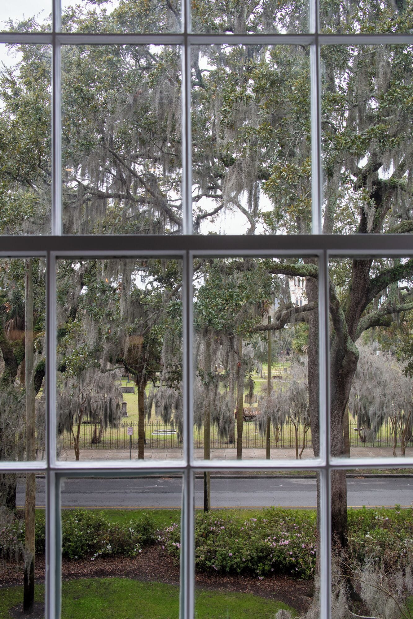 A view through a window with a grid pattern, displaying a cemetery with trees and a road in the background.