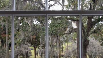 A view through a window with a grid pattern, displaying a cemetery with trees and a road in the background.