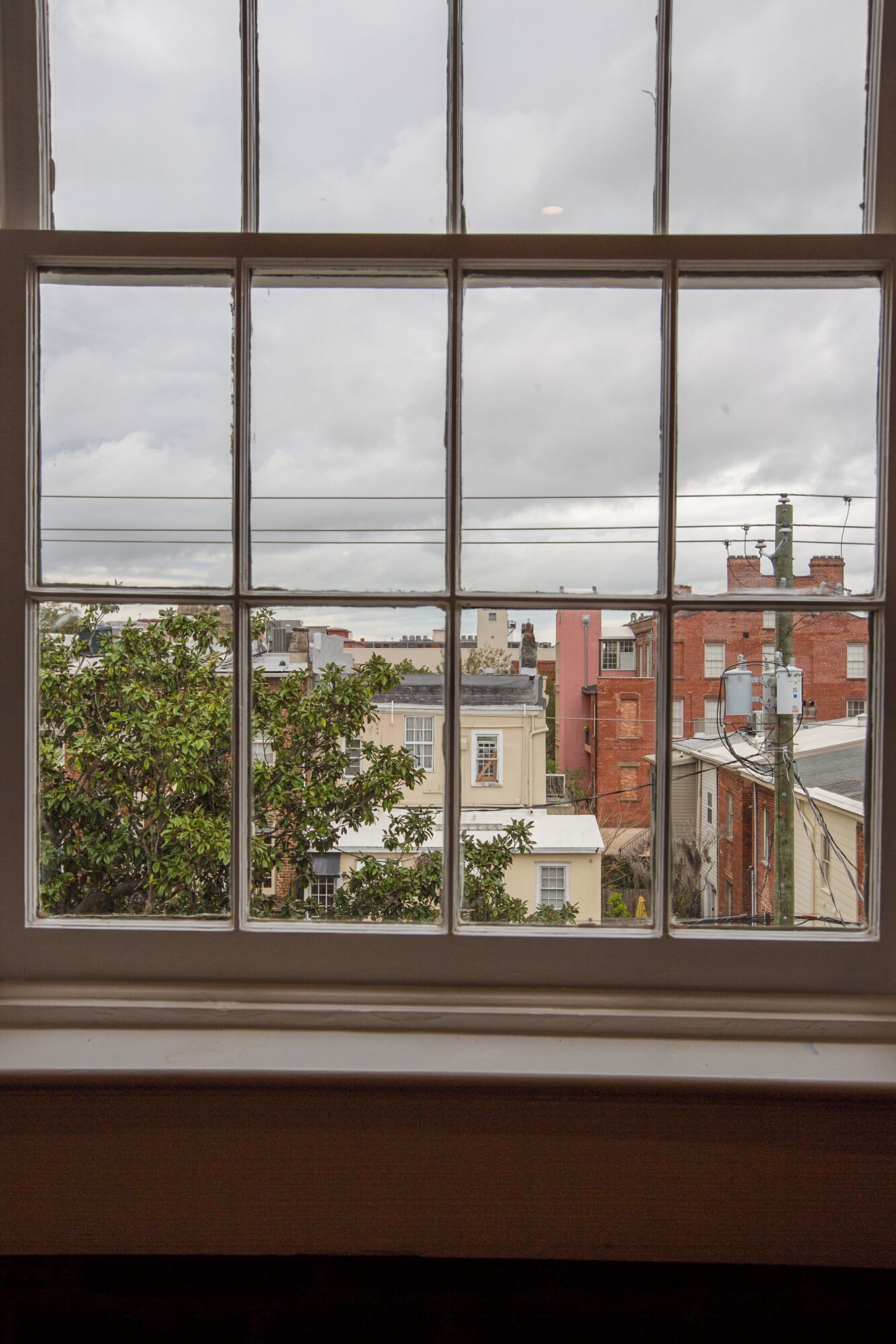Una ventana con vista a edificios y un árbol.