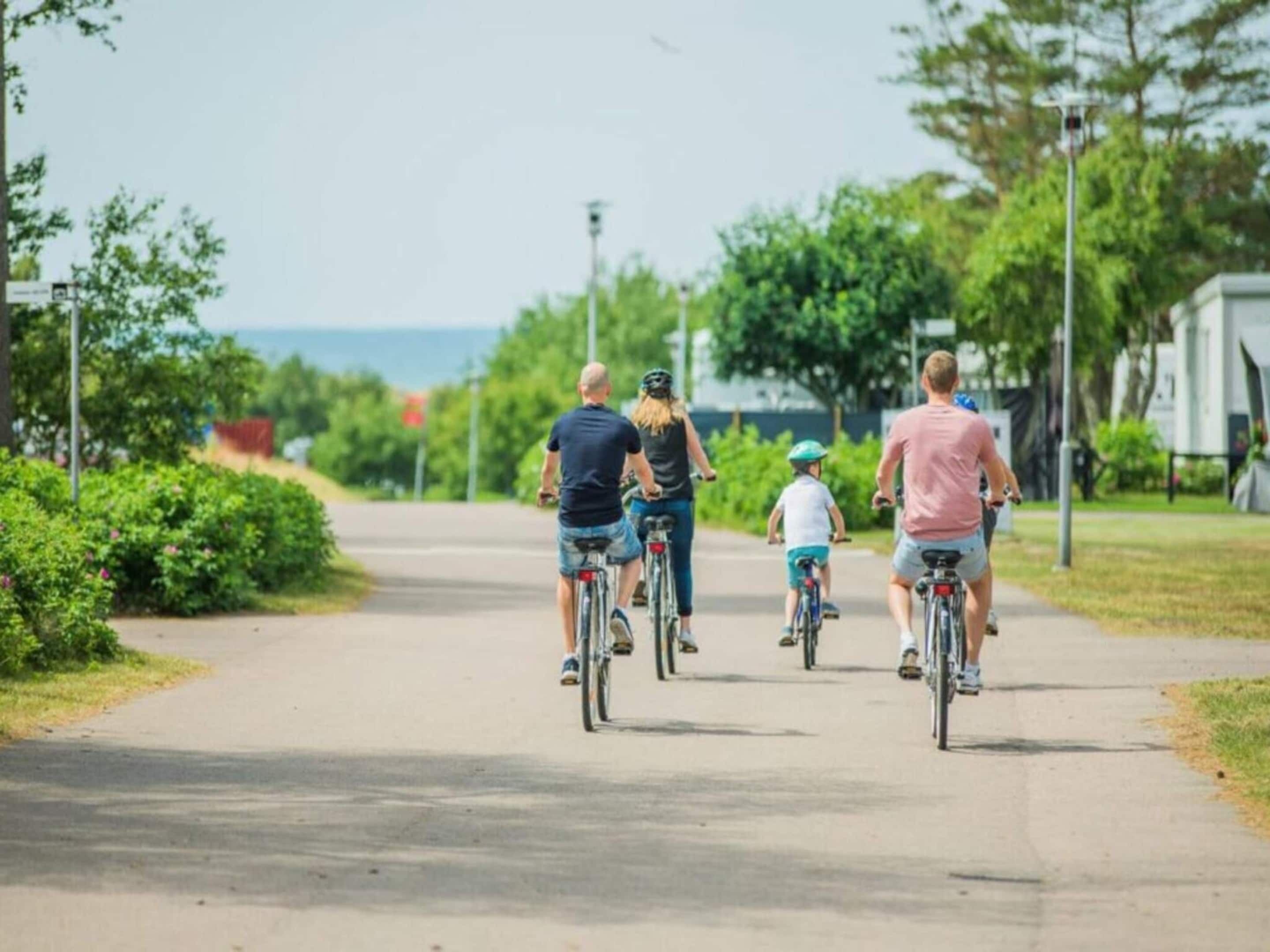 A paved path with cyclists, surrounded by greenery and a clear sky.
