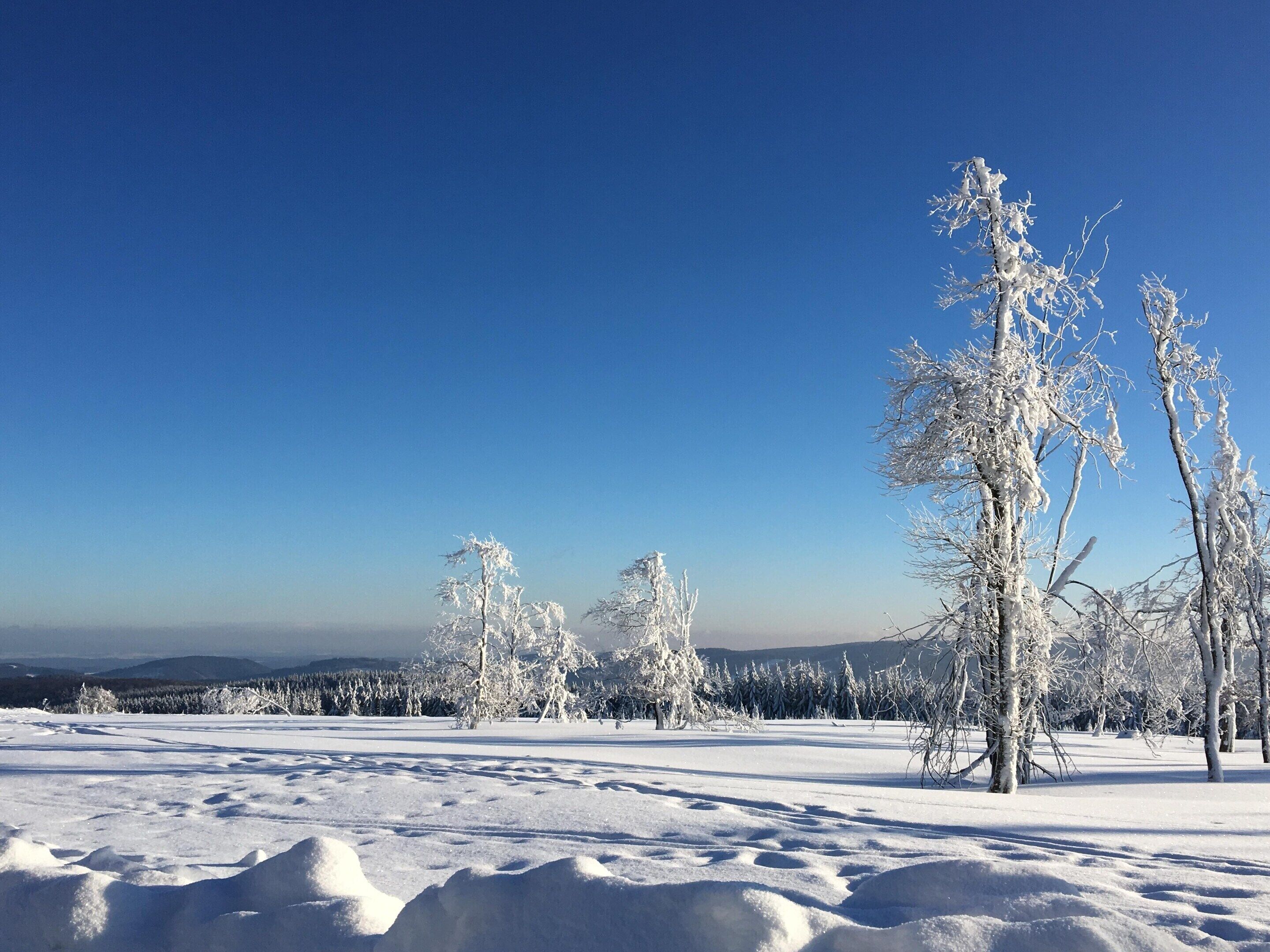 Vue depuis l’hébergement