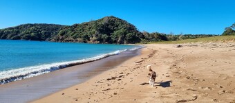 Pataua South Retreat - Price for both units!!!!