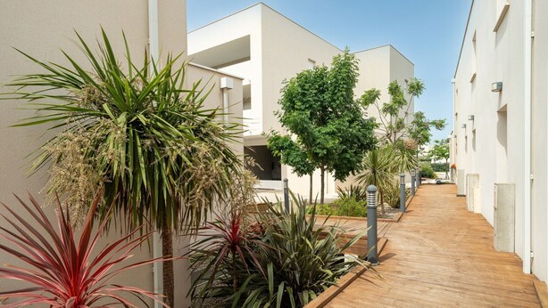 A modern building with a wooden walkway, surrounded by various plants and trees.