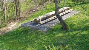 A picnic table in a wooded area with a grassy ground. - Group Home in La Roche With Sauna (La Roche-en-Ardenne)