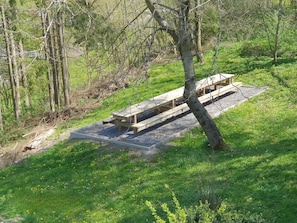 A picnic table in a wooded area with a grassy ground.