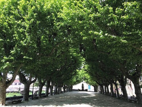 Apartamento Padrón Centro P1 by URent