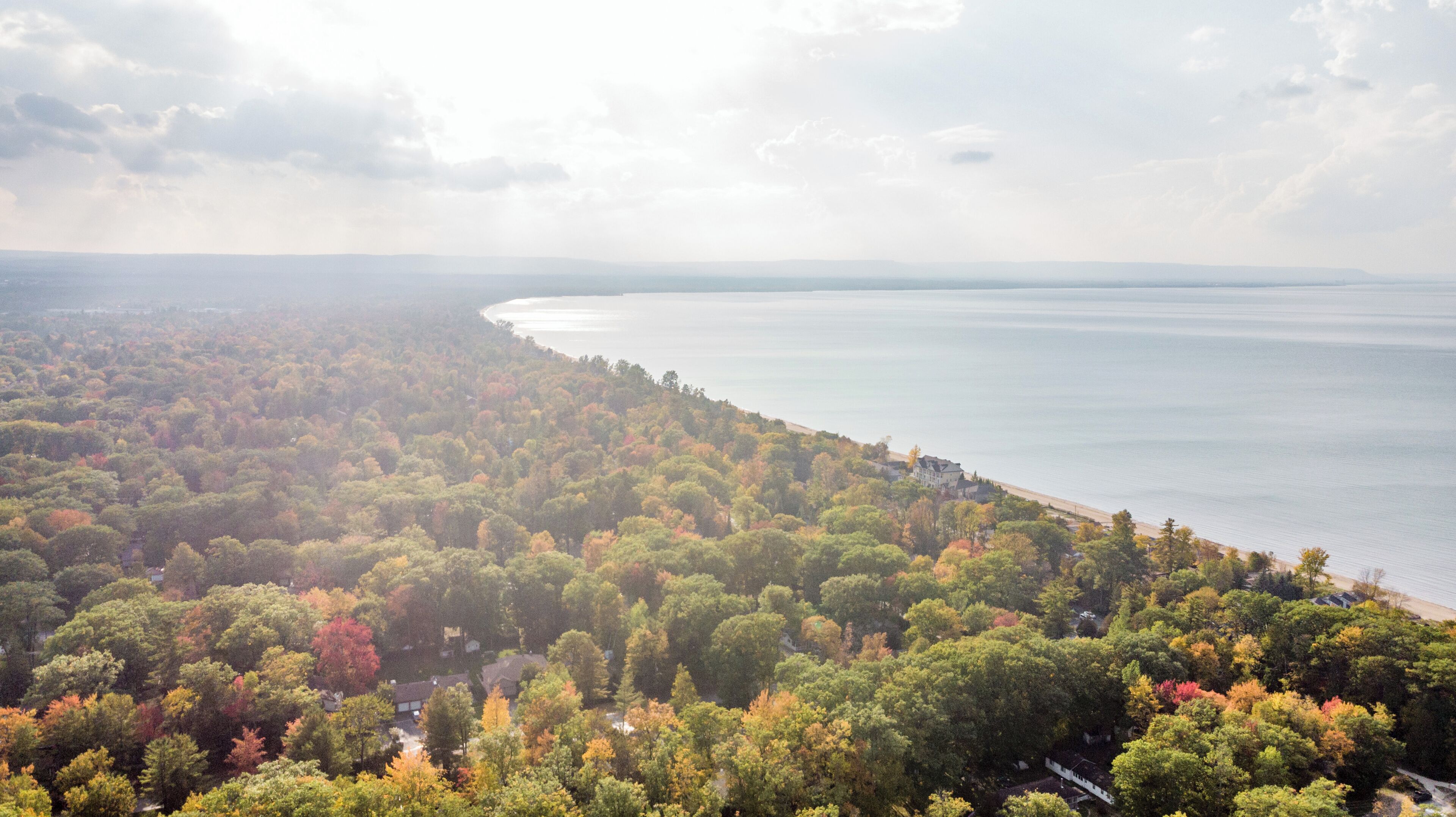 A coastal landscape with dense forest and a beach.