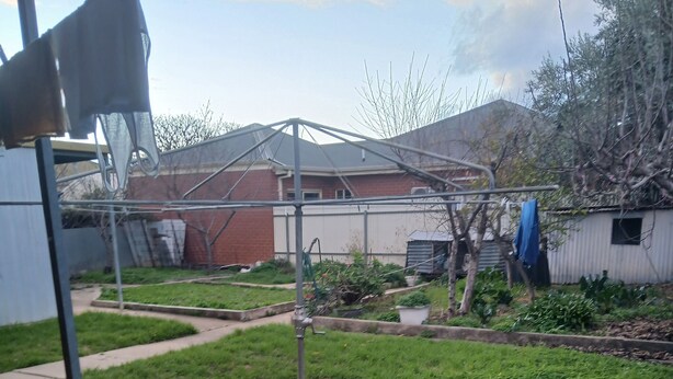 A residential backyard with a lawn, a metal structure, and a house in the background. - One room,$190+bills,Single Girl,3bed room set,Indian ofamily living, (Norwood)