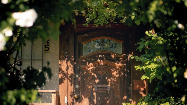A wooden door with a decorative plaque and a small potted plant beside it.