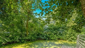A park bench surrounded by dense greenery and a pond.