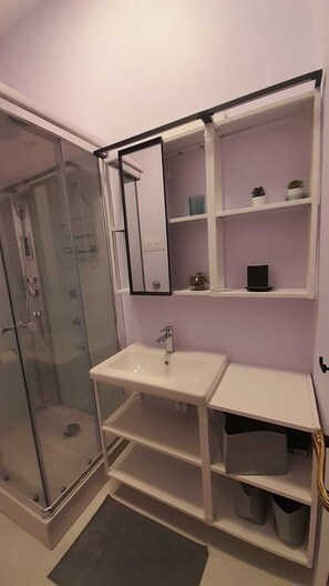 Shower, hair dryer, bidet, towels