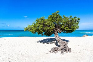 Tæt på stranden