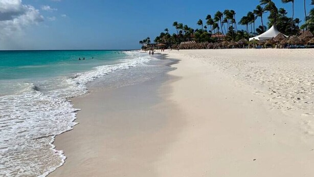 Une vaste plage de sable fin, avec de douces vagues, un ciel bleu clair et des palmiers en arrière-plan.