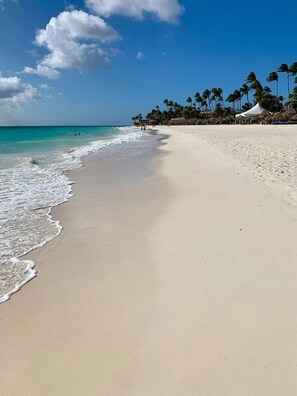 Une vaste plage de sable fin, avec de douces vagues, un ciel bleu clair et des palmiers en arrière-plan.