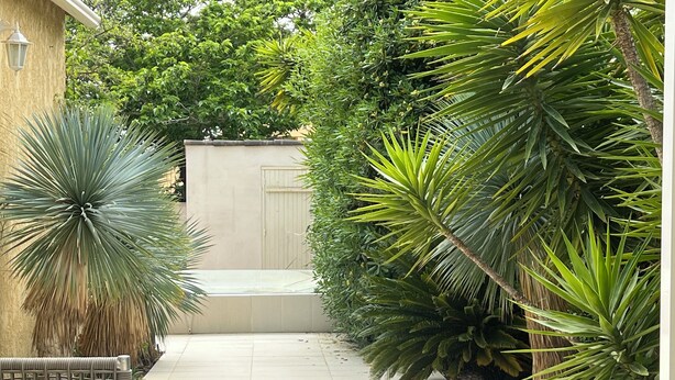 A narrow pathway flanked by tall, green plants and a bench. - Vacation home with pool (Agde)