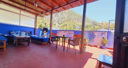 hostel aline