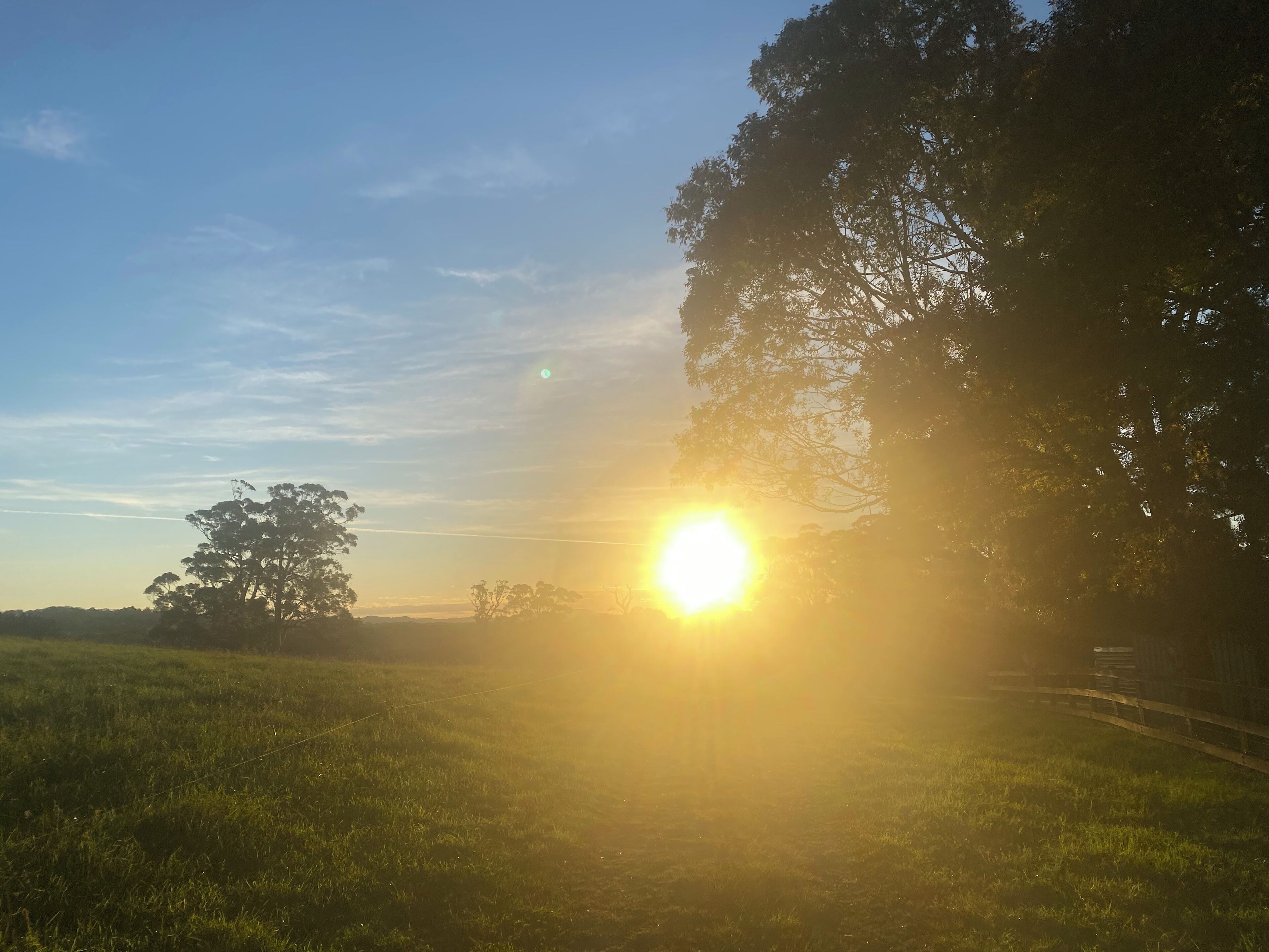 Un campo con una valla y árboles al fondo.
