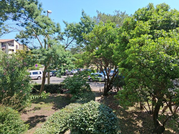 Overnatningsstedets område