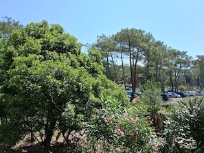 住宿场地