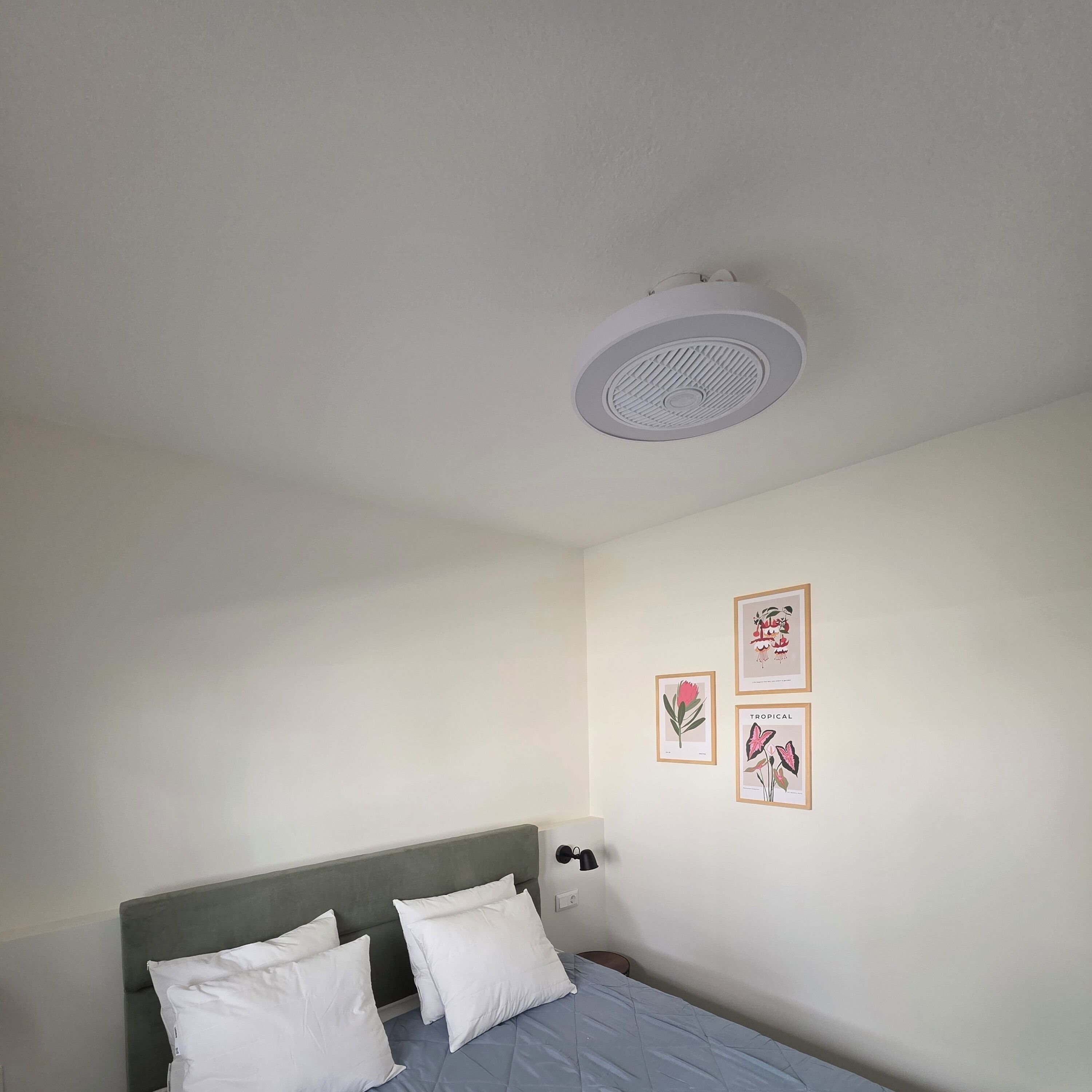 Een slaapkamer met een bed, witte kussens, een grijze hoofdbord en een plafondventilator. Er hangen twee ingelijste foto’s aan de muur.