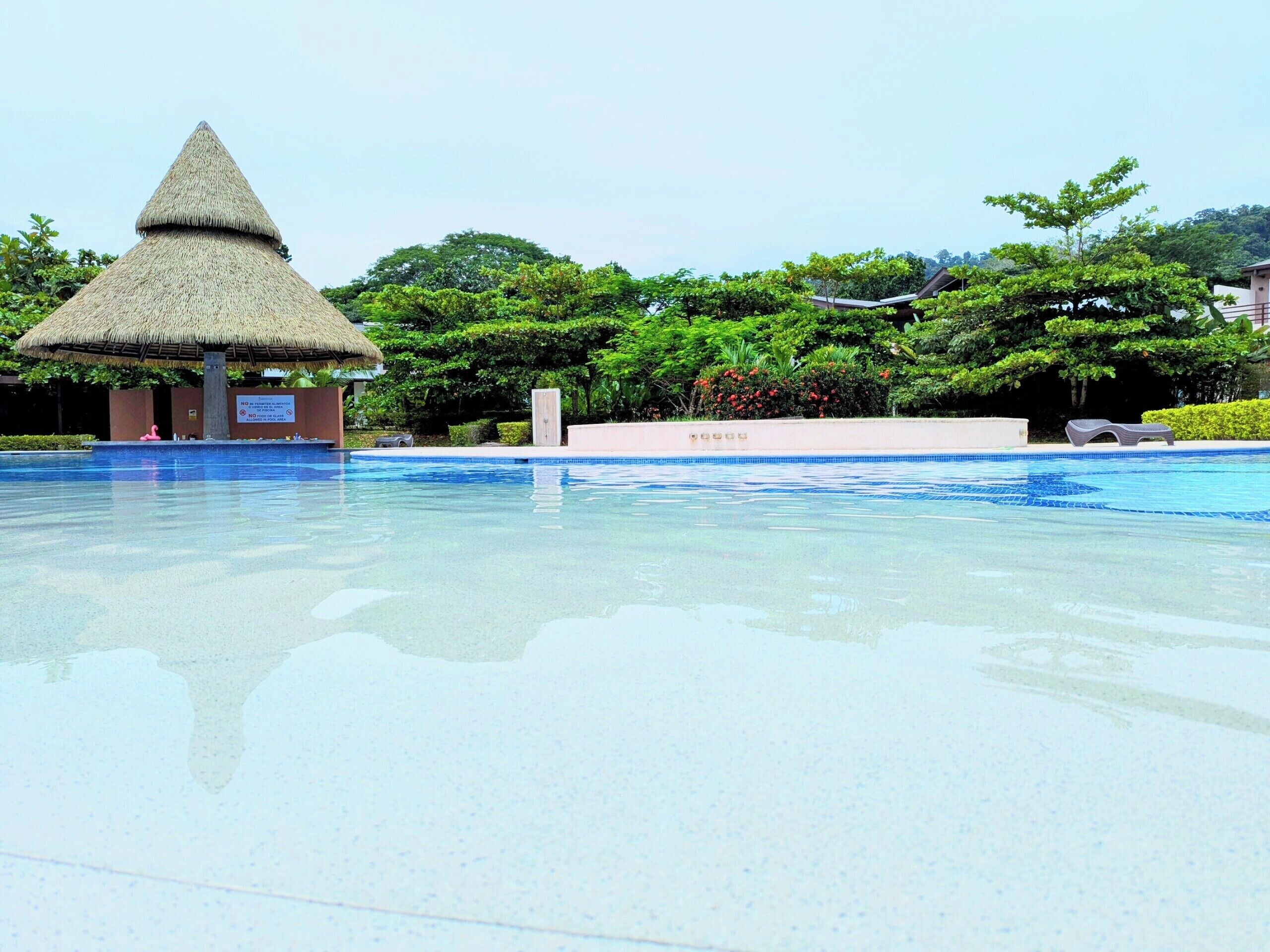 A swimming pool with a thatched-roof structure and lush greenery in the background.