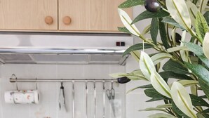 A modern kitchen with a gas stove, hanging utensils, and a potted plant. - Apartment Mari&Lucio-Metro Basilica S.Paolo, 4 stops to Colosseum, 15min Termini (Roma)